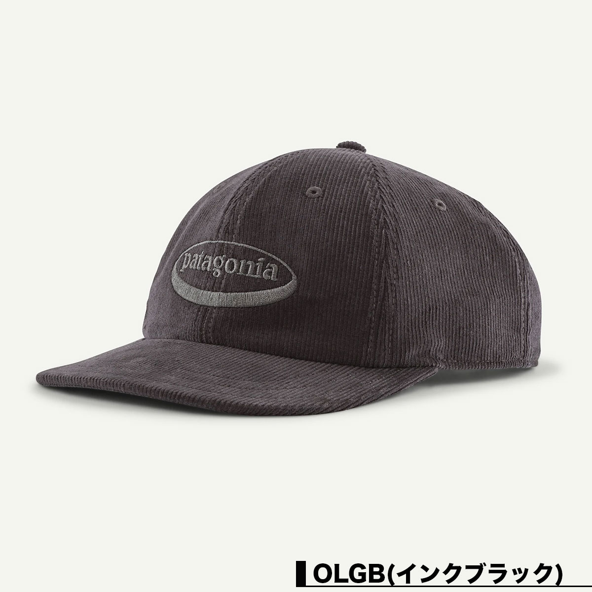 Patagonia パタゴニア キャップ 帽子 メンズ レディース ロゴ