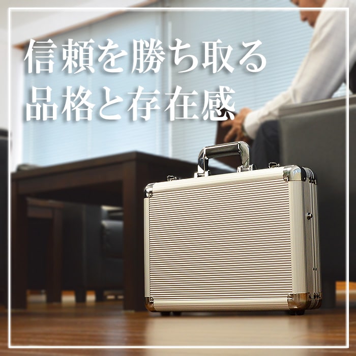 パイロットケース KBN21197 平野鞄