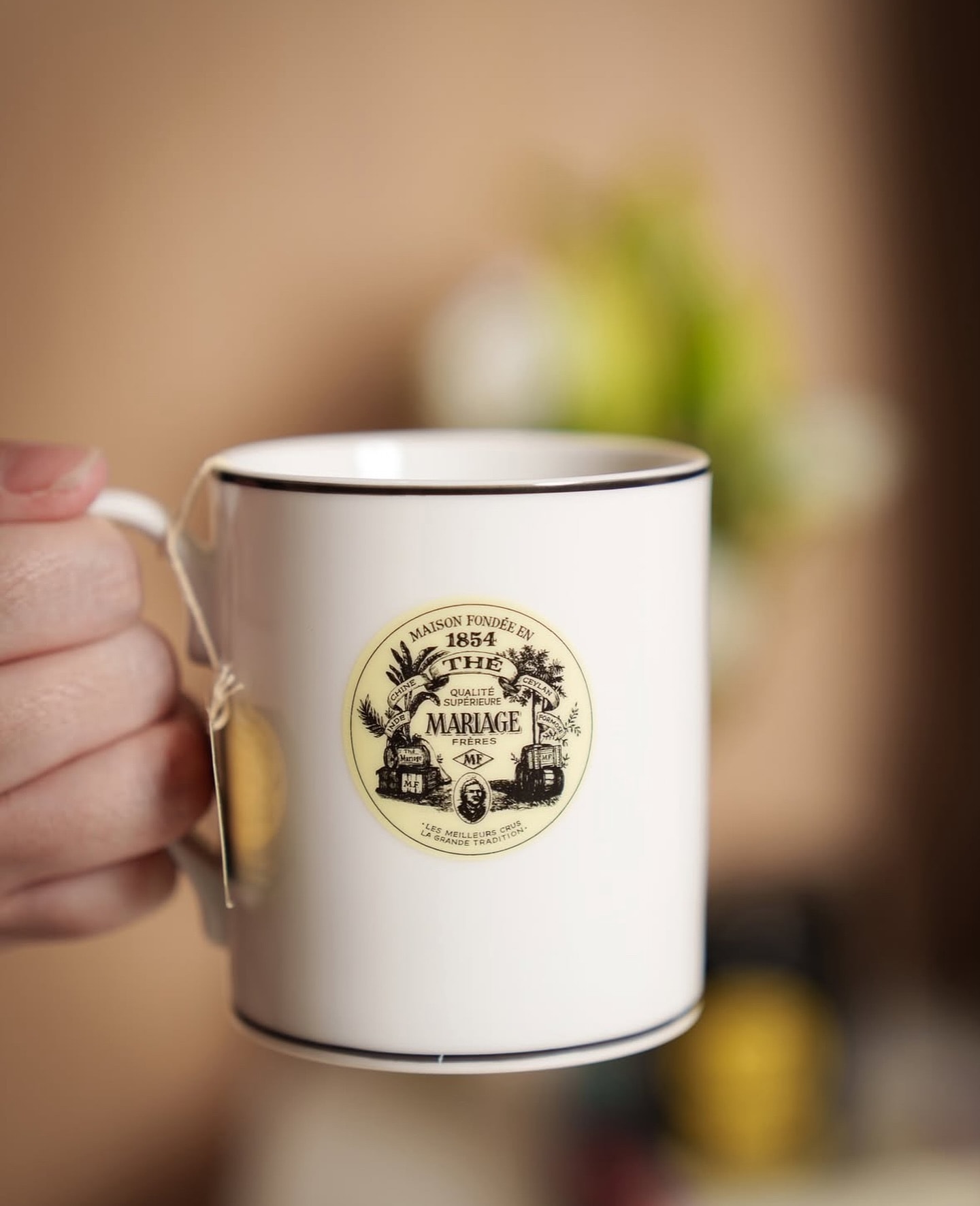 lunaページ マリアージュフレール ボレロ モーニンググローリー luna