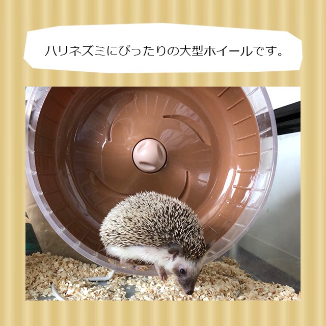 CASA 静音ホイール31 子どもでも使える！ハリネズミ用ホイール 回し車