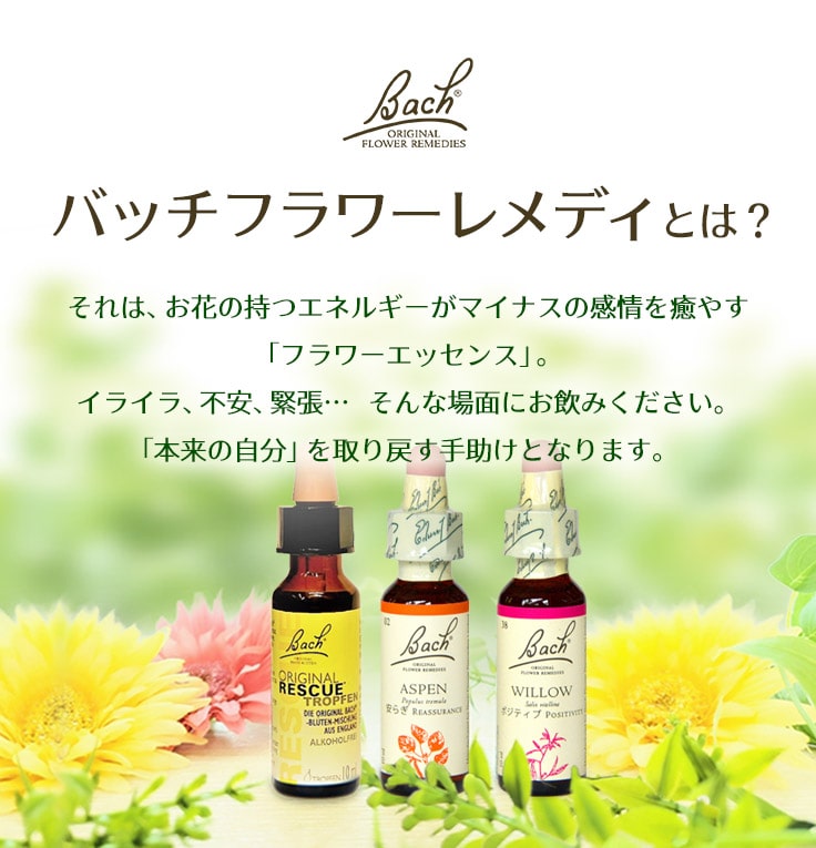 バッチフラワーレメディの紹介｜フラワーレメディ