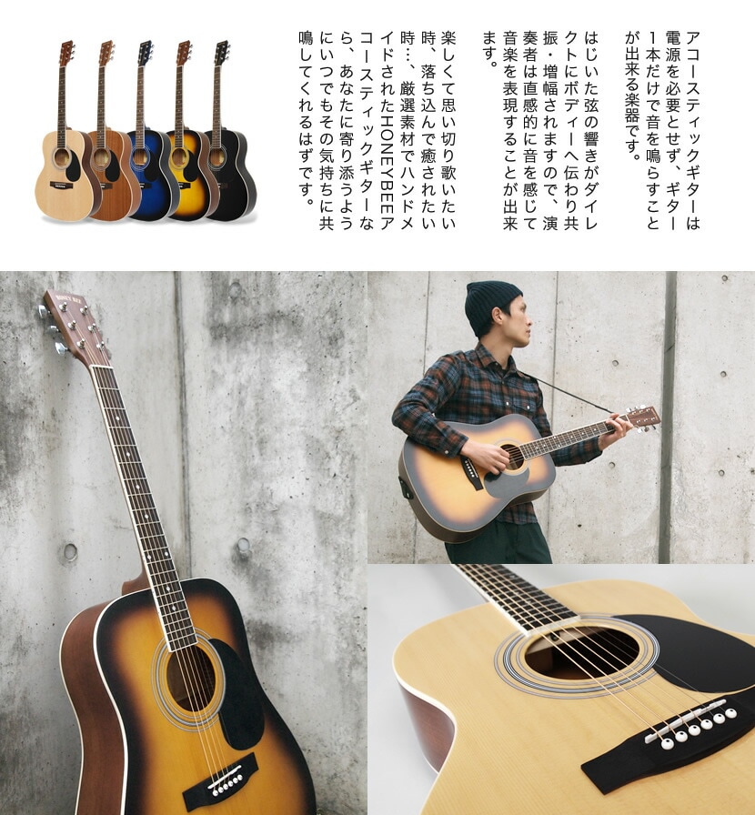 アコースティックギター HONEY BEE W-15/F-15/HJ-18 16点 初心者セット