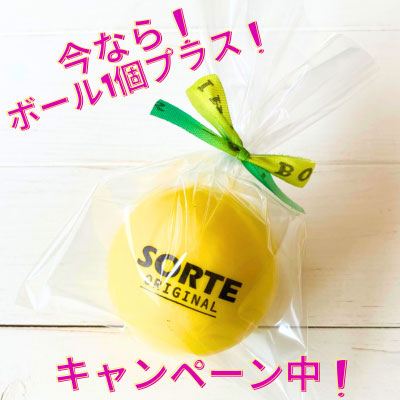 1,000円OFF】フレスコボールラケットセットIpanema【SORTE ORIGINAL