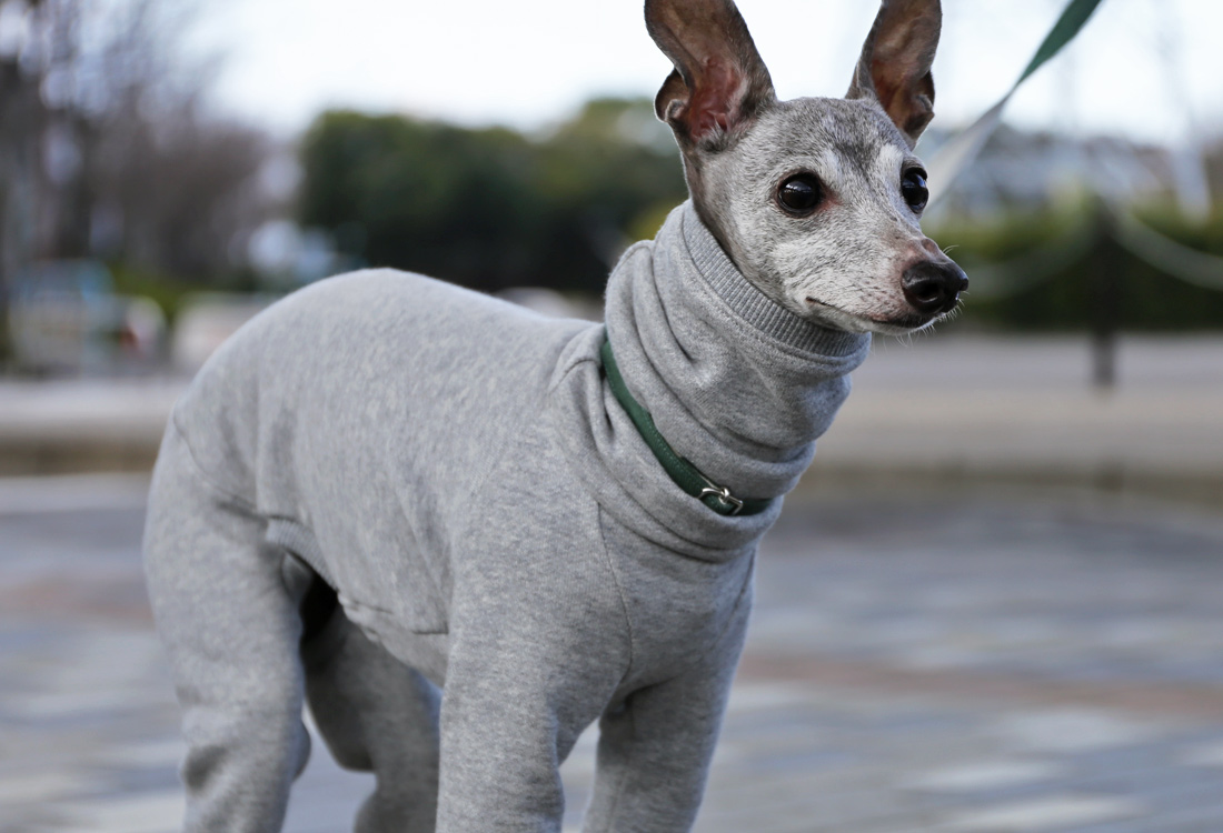 定番スウェットロンパース（グレー）