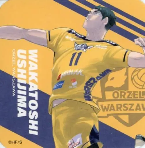 Ushijima Wakatoshi - Coaster - Haikyuu!! (牛島若利(キャラカラー