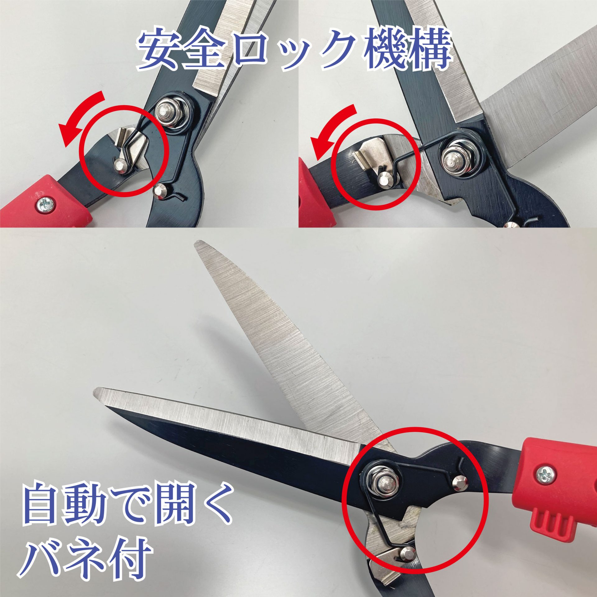 2036 - キンボシ株式会社