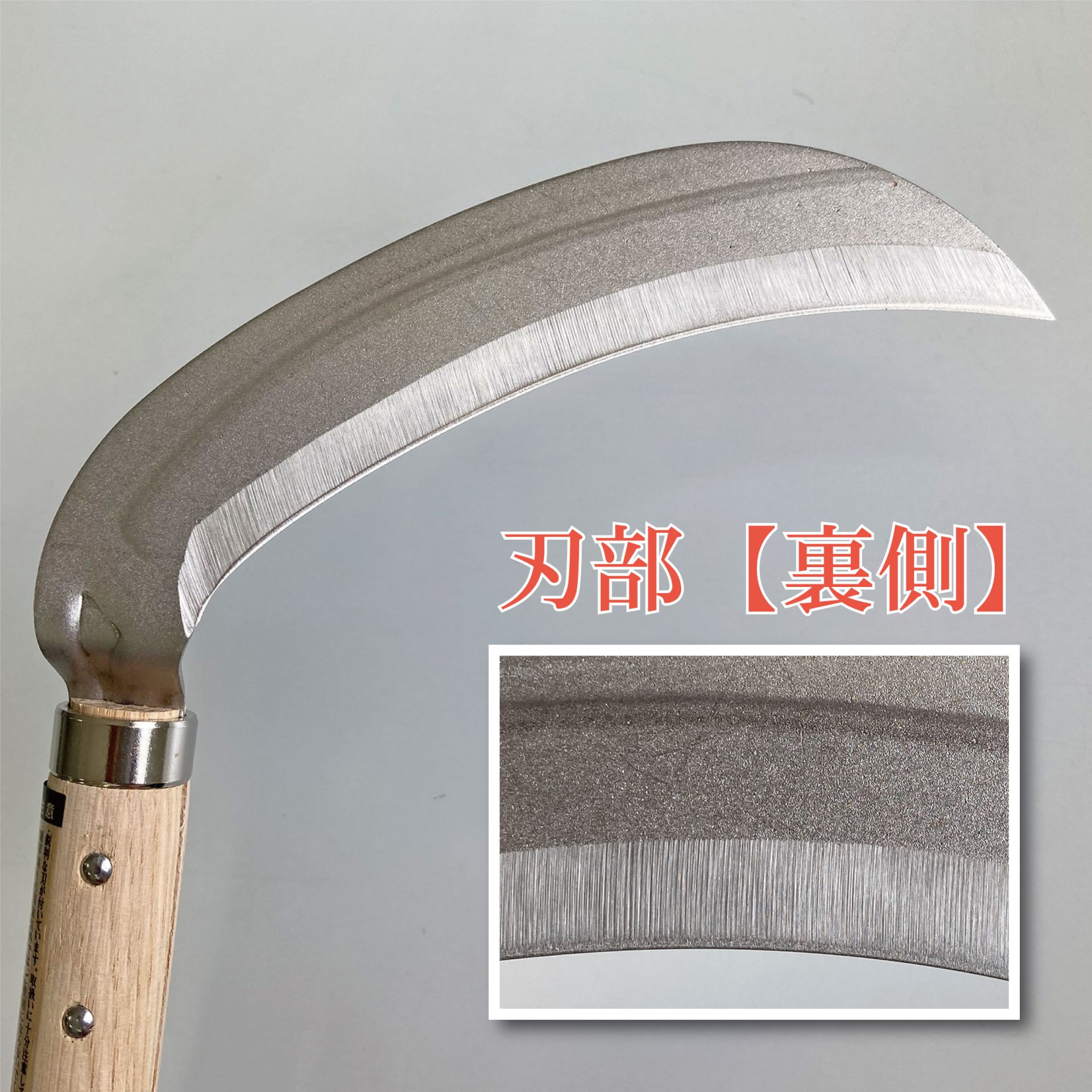 1645 - キンボシ株式会社