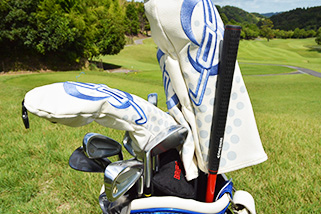 製品概要/性能 | SWING Sharp 公式ページ