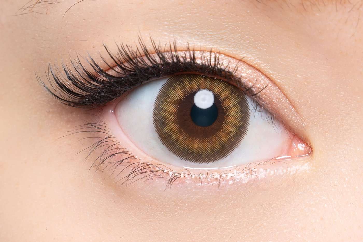 Moonlit Beige [loveil] | 1day Colored Contact Lens - DIA 14.2mm