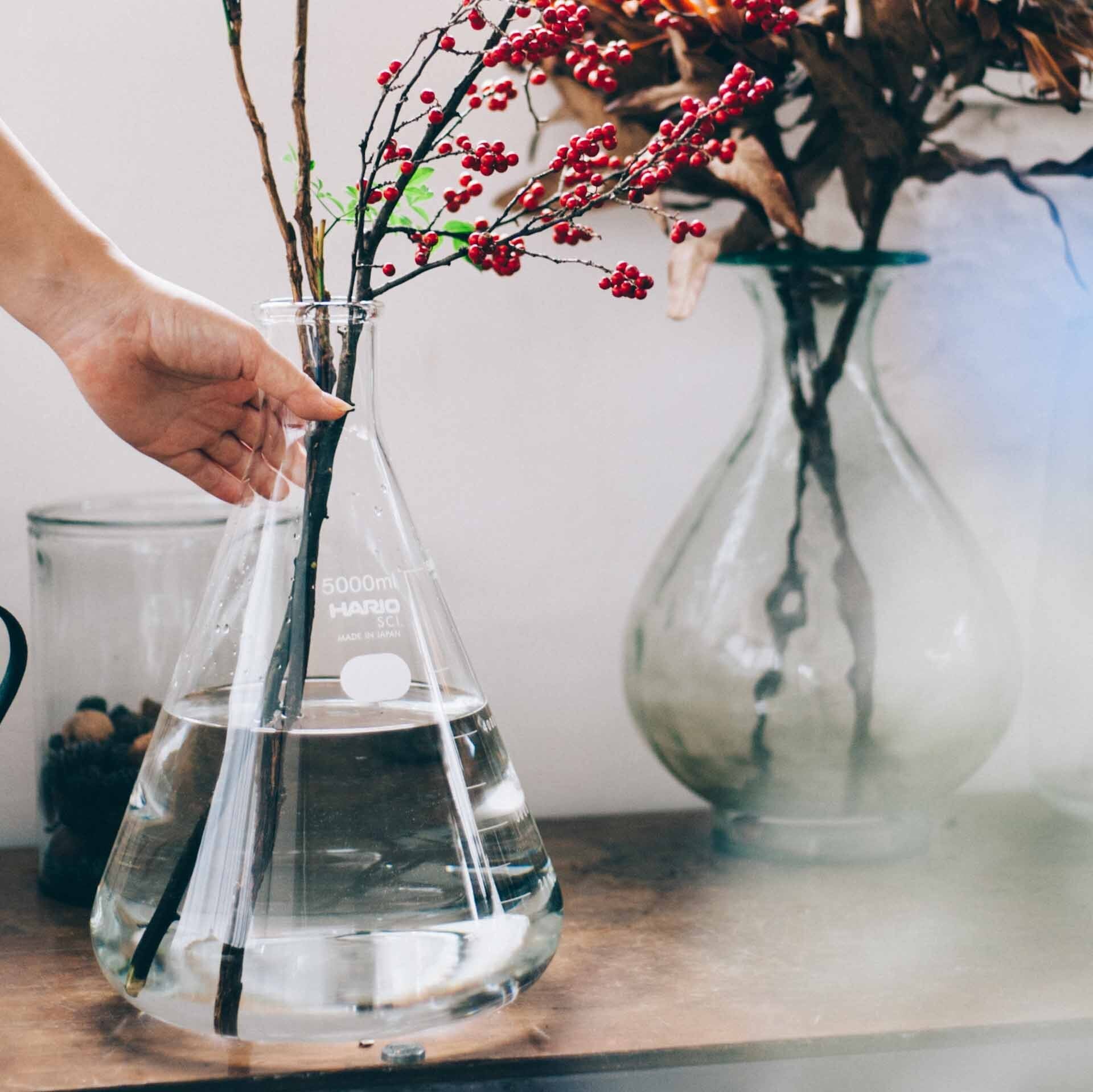 Erlenmeyer Flask Vase