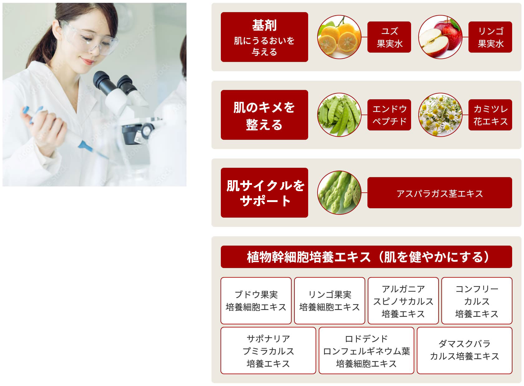 Facell（ファセル）の特徴｜【公式】SR SALON