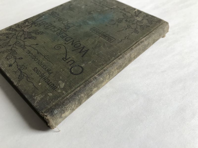 アンティーク医学書 海外古書