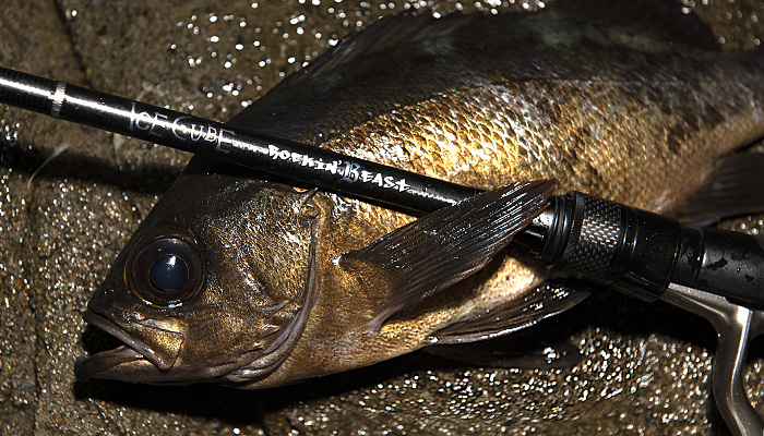 ティクト アイスキューブ IC-90TG-Sis Rockin'Grand その長さ9ft