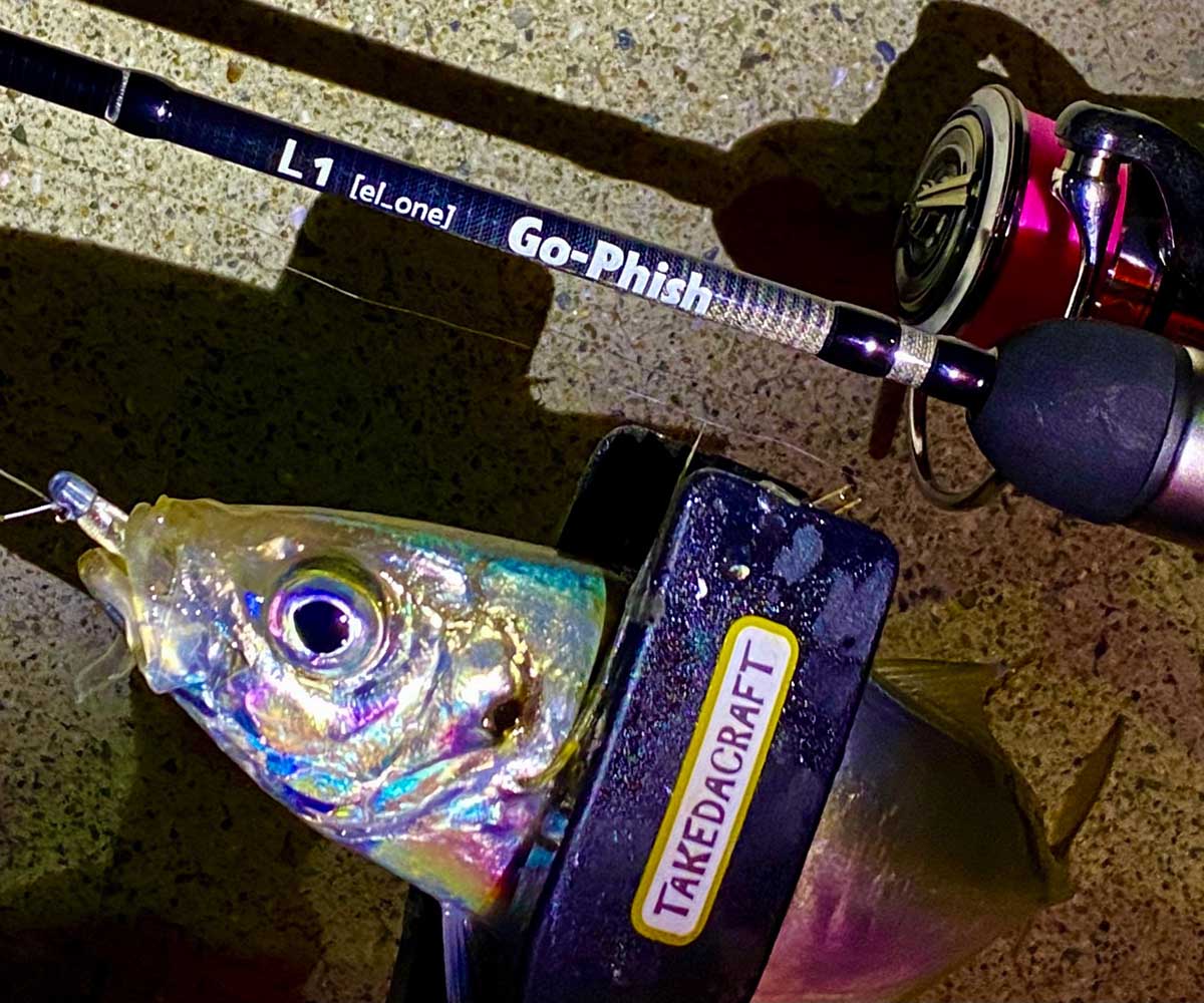 専用であり汎用」 L(el)seriesについて | Go-Phish