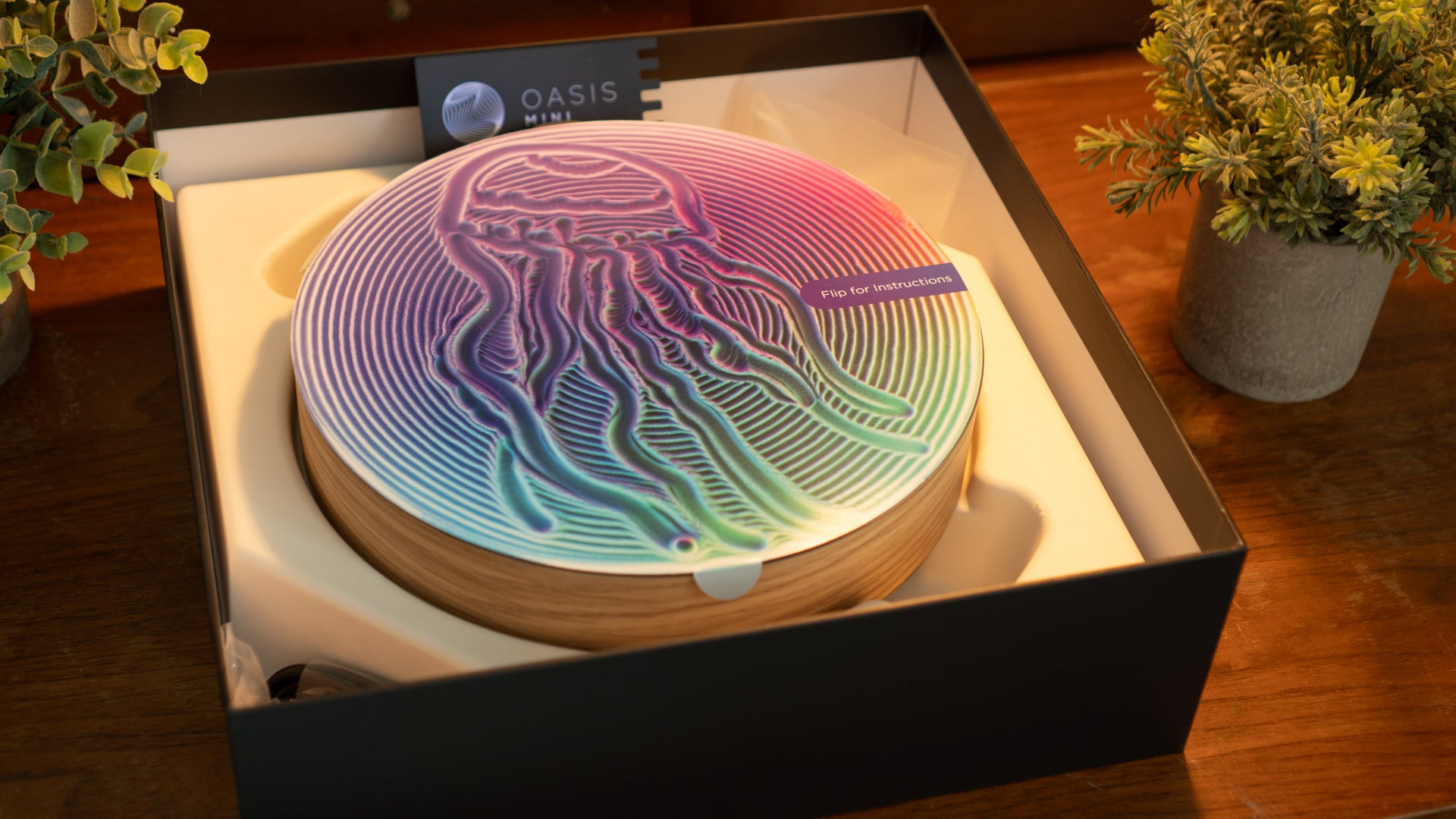 An App Walkthrough, Unboxing, and Shipping Update – Oasis