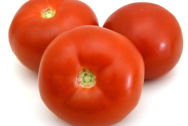 homestead-tomato_grande.jpg?v=