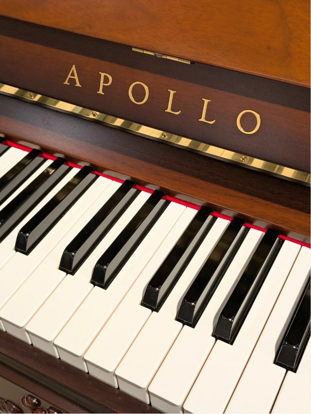 東洋ピアノ ピエルレA120 アップライト 東洋ピアノ ピエルレA120