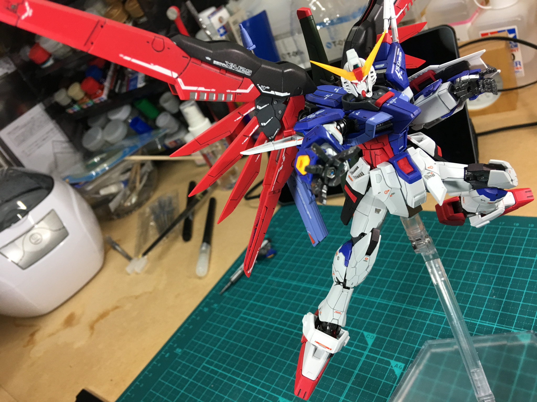 RG デスティニーガンダム 全塗装｜nimurodeさんのガンプラ作品