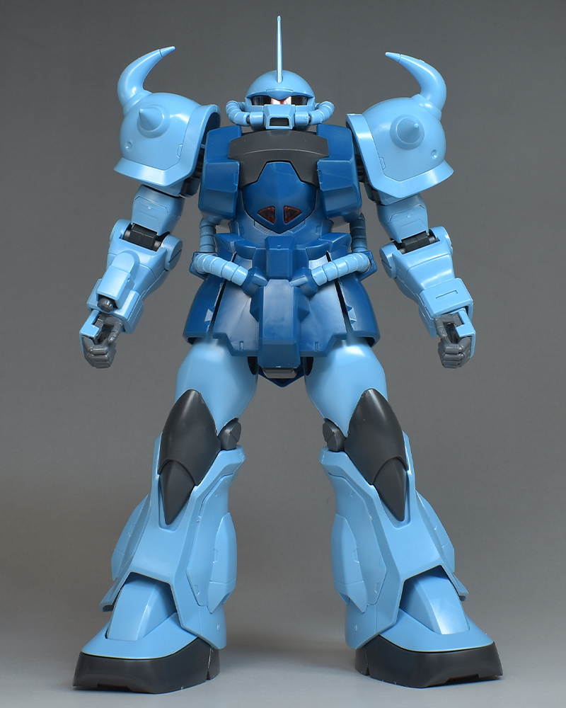 MG グフカスタム レビュー | ガンダムブログはじめました