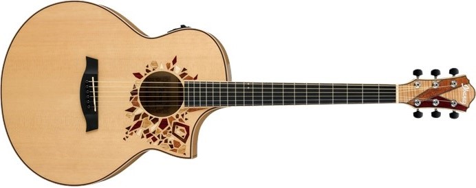 エレアコギター・12弦ギター】スタンダードなTOPと、個性的な