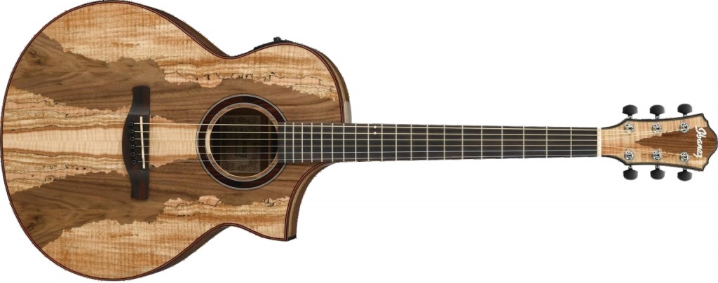 エレアコギター】Ibanezより抱えやすいジャスト・サイズのオール