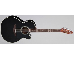 エレアコギター】-Takamine-真空管プリアンプを搭載したワンサイド
