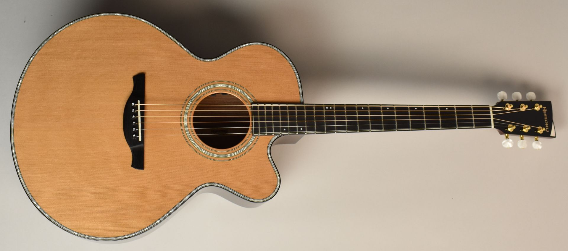 エレアコギター】-HISTORY-アーティスト使用で話題の「NT-301」が今の