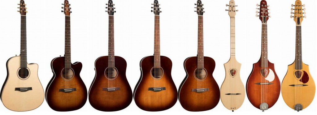 アコースティックギター】Made in Canada “Seagull”から豊富な