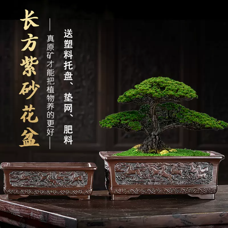 四方植木鉢 盆栽鉢 植木鉢 小品盆栽鉢 大品盆栽鉢 四方植木鉢 紫砂の鉢