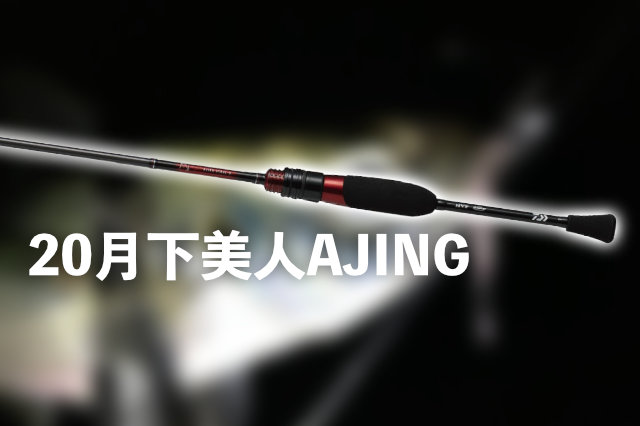 超高コスパ入門ロッド「20月下美人 アジング」！【気になるあの