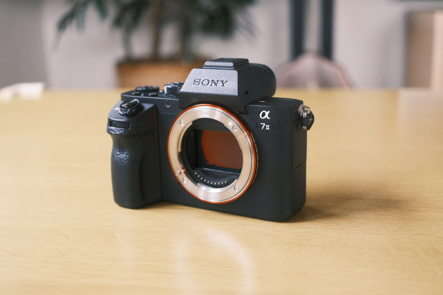 再購入レビュー】SONY α7IIの魅力を徹底解説｜なぜ今も愛され続ける