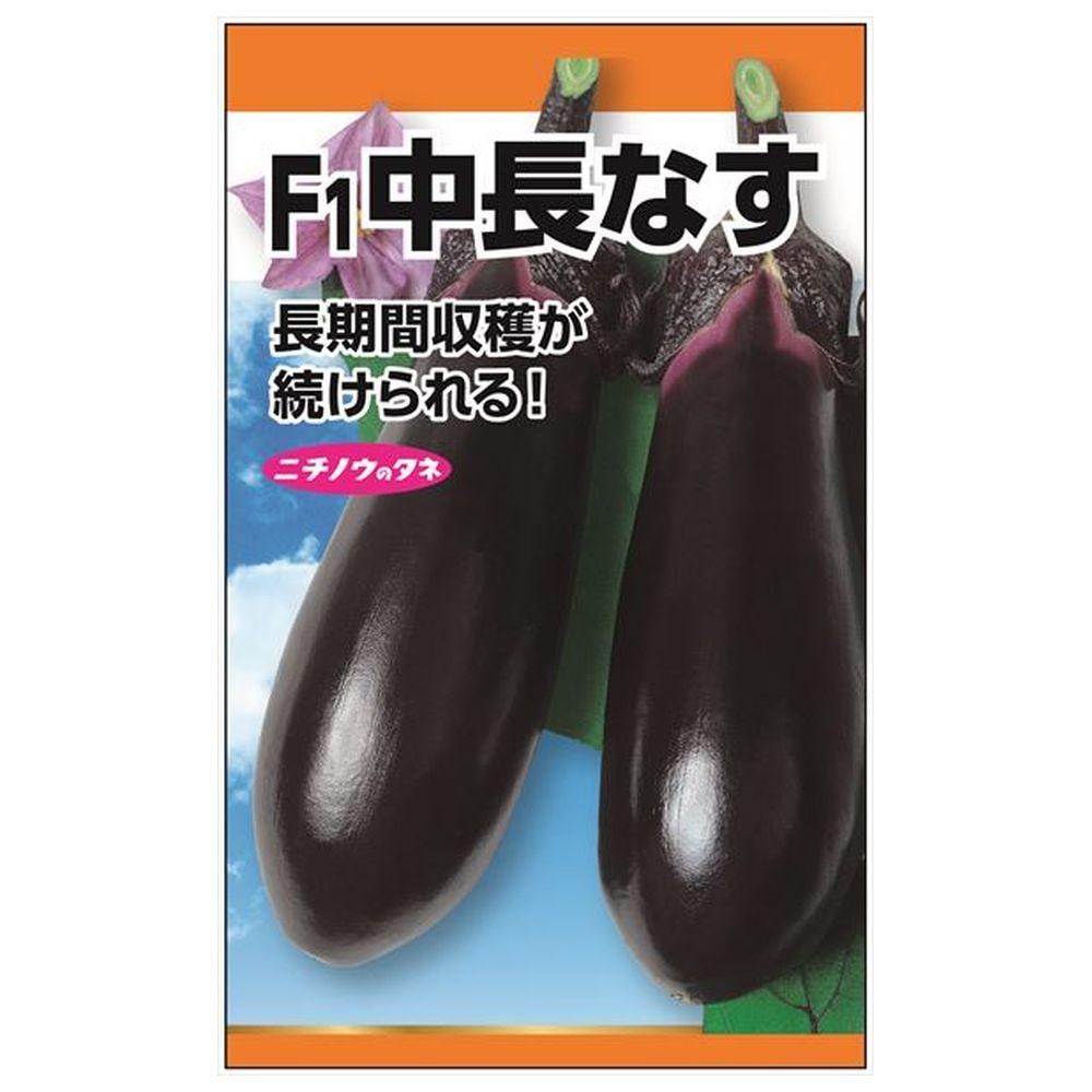 000000084818-01.jpg?size=l&w=