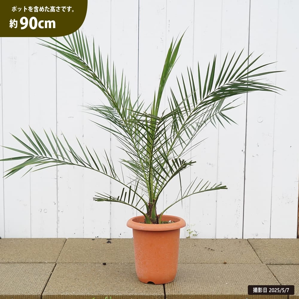 000000130789-01.jpg?size=m&w=