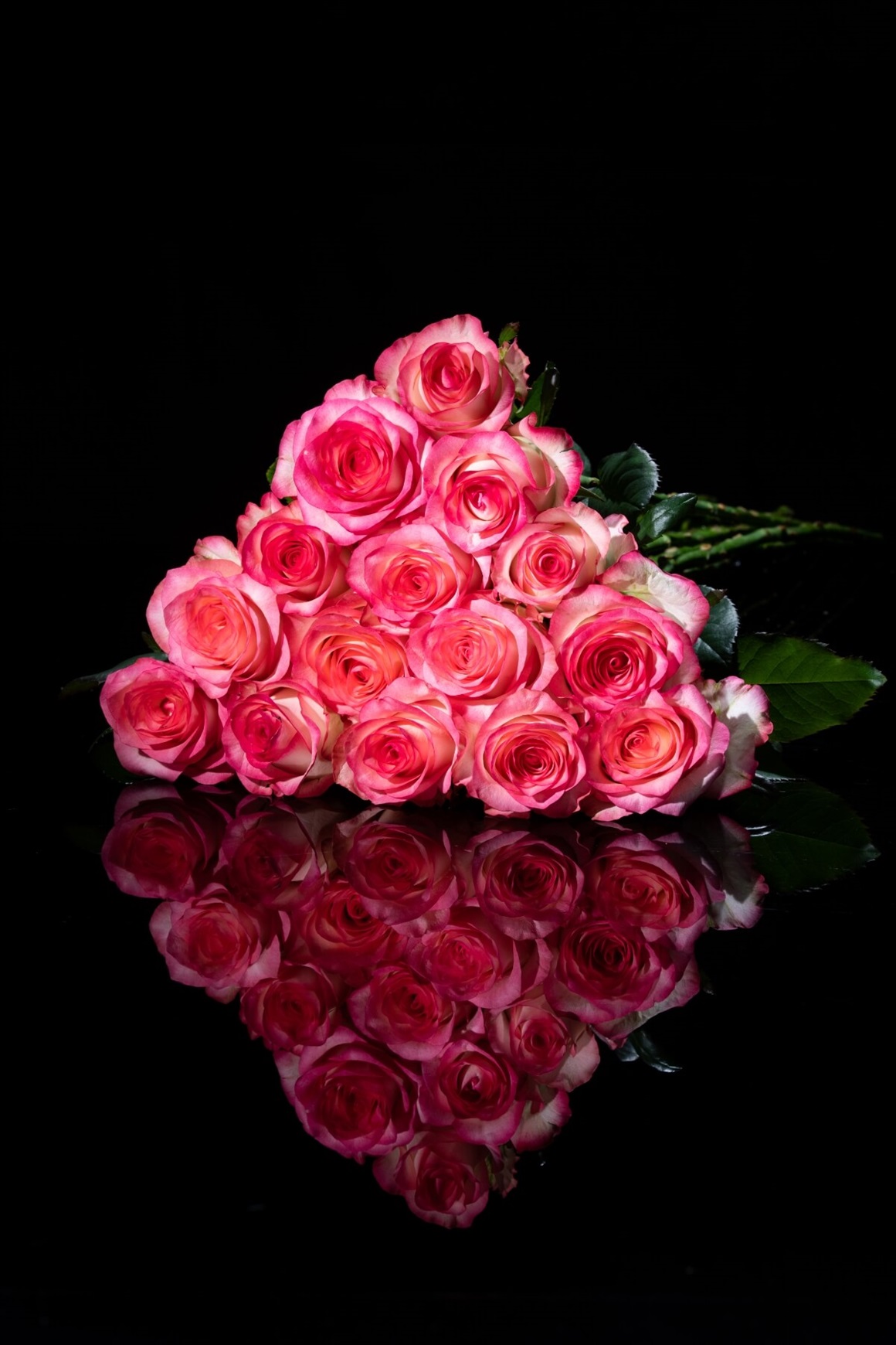 ローズBOXギフト 15本 | 花のギフト通販なら花百花 ‐hanahyakka‐