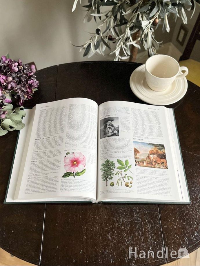 グリーン色のおしゃれなアンティーク本、イギリスから届いた