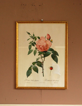 1940年代のアンティーク 絵画（ピンク）(m-421-z)｜アンティーク雑貨