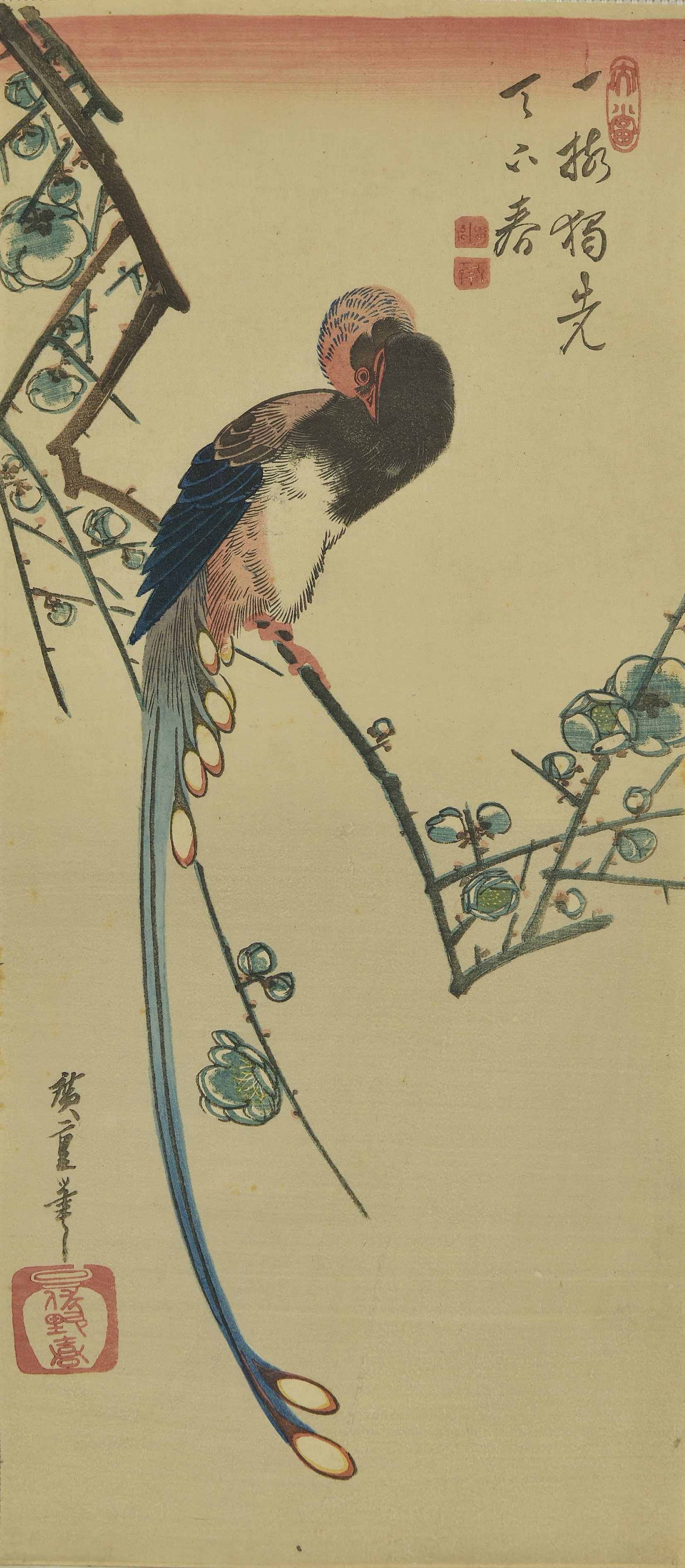 日本の自然と多色摺木版の世界 ｜ 展覧会 ｜ 町田市立国際版画美術館