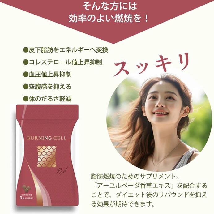BURNING CELL 脂肪燃焼サポートサプリ RED - 韓美-HANMI-ハンミ公式