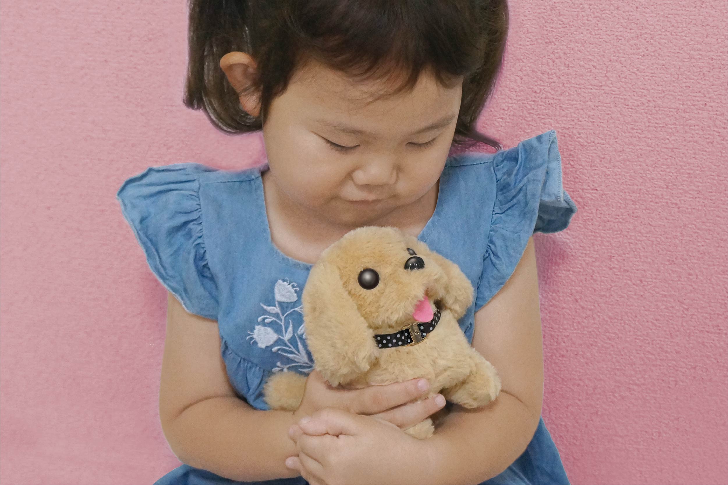 わんちゃんおせわセット | 株式会社ハック