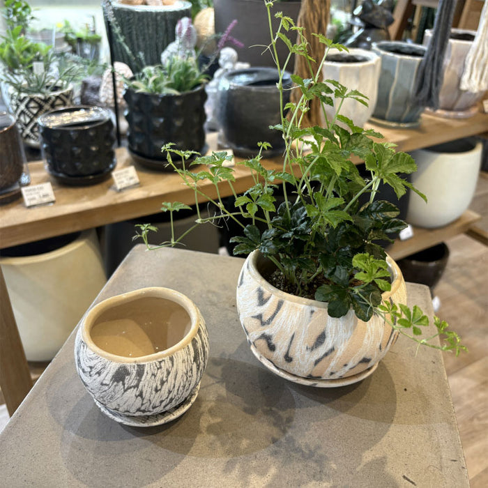 RR604-120 – 鉢人