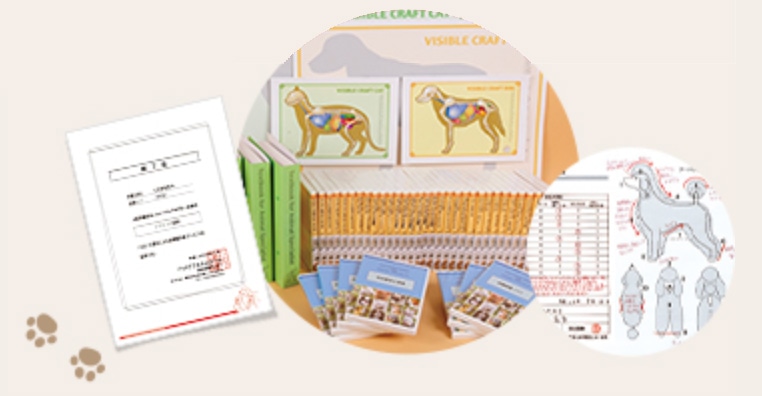 ペット実技研修のご案内|ヒューマンアカデミー通信講座（旧たのまな）