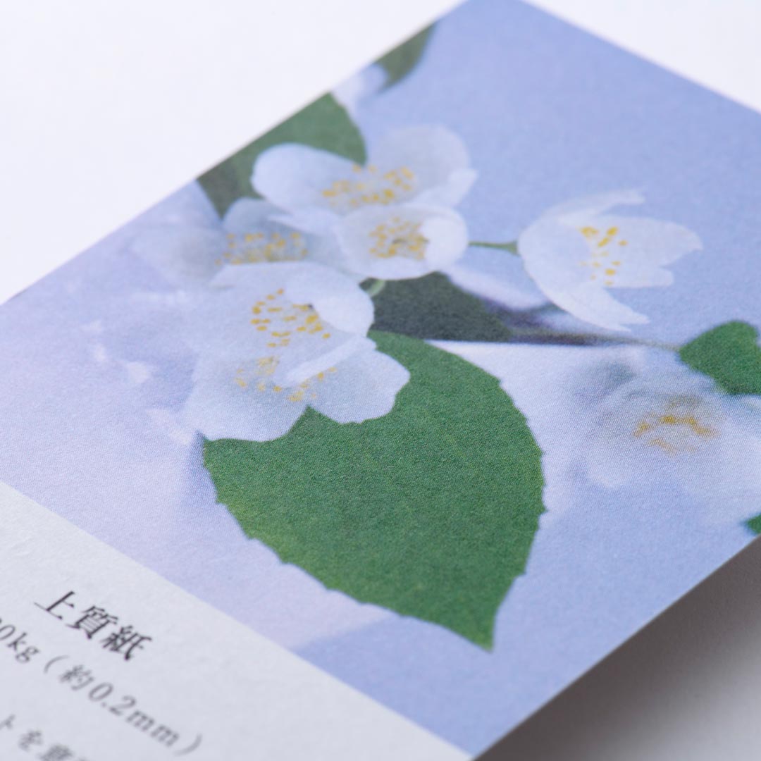 上質紙180kg名刺（両面印刷＋箔押し）