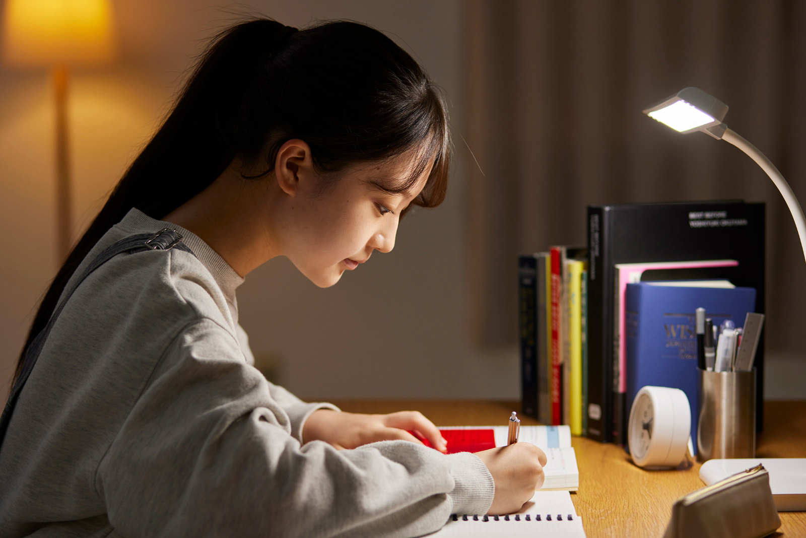 高校3年生・高卒生対象講座 | 白藍塾大学受験ゼミ