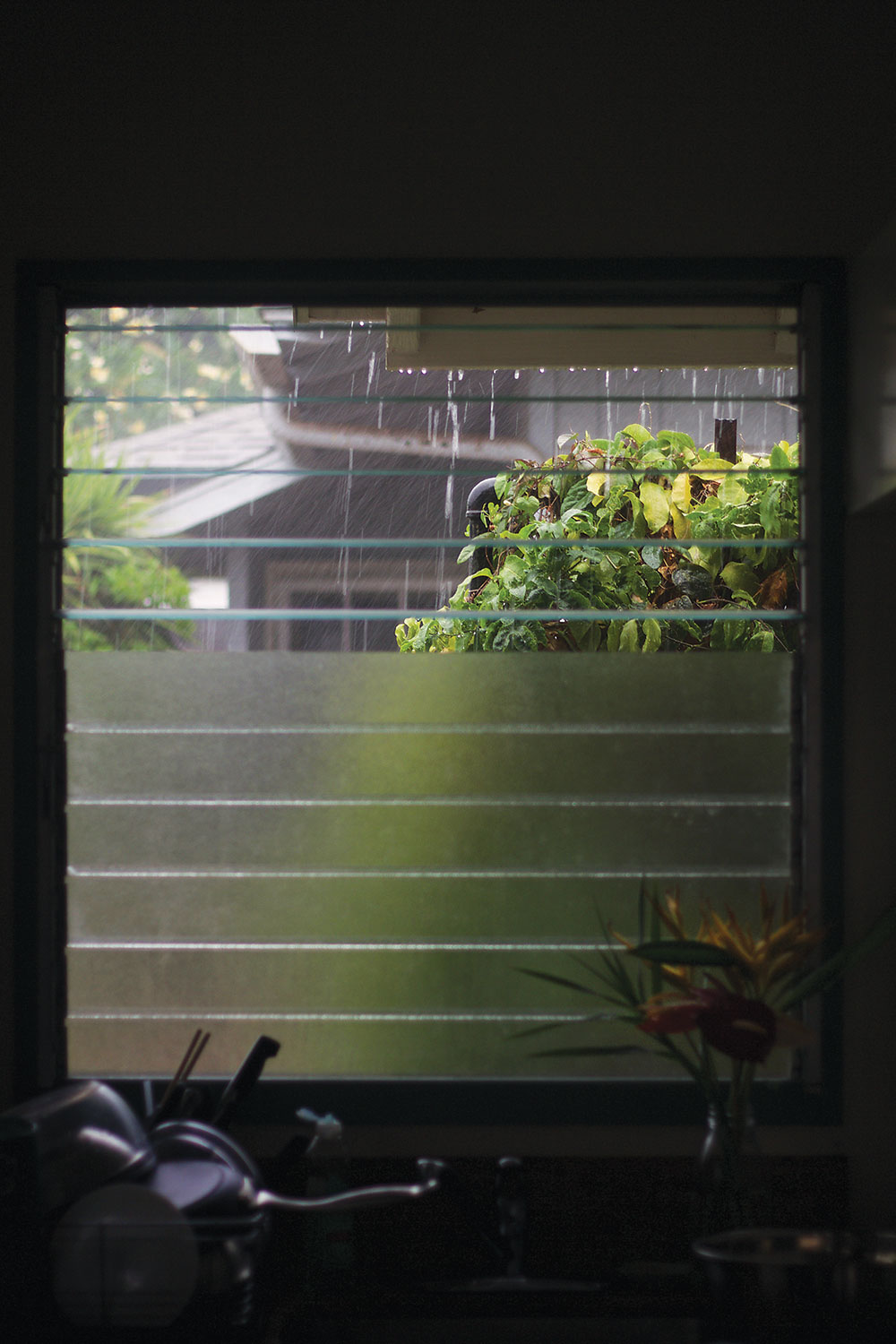 愛しの雨 - Halekulani Living