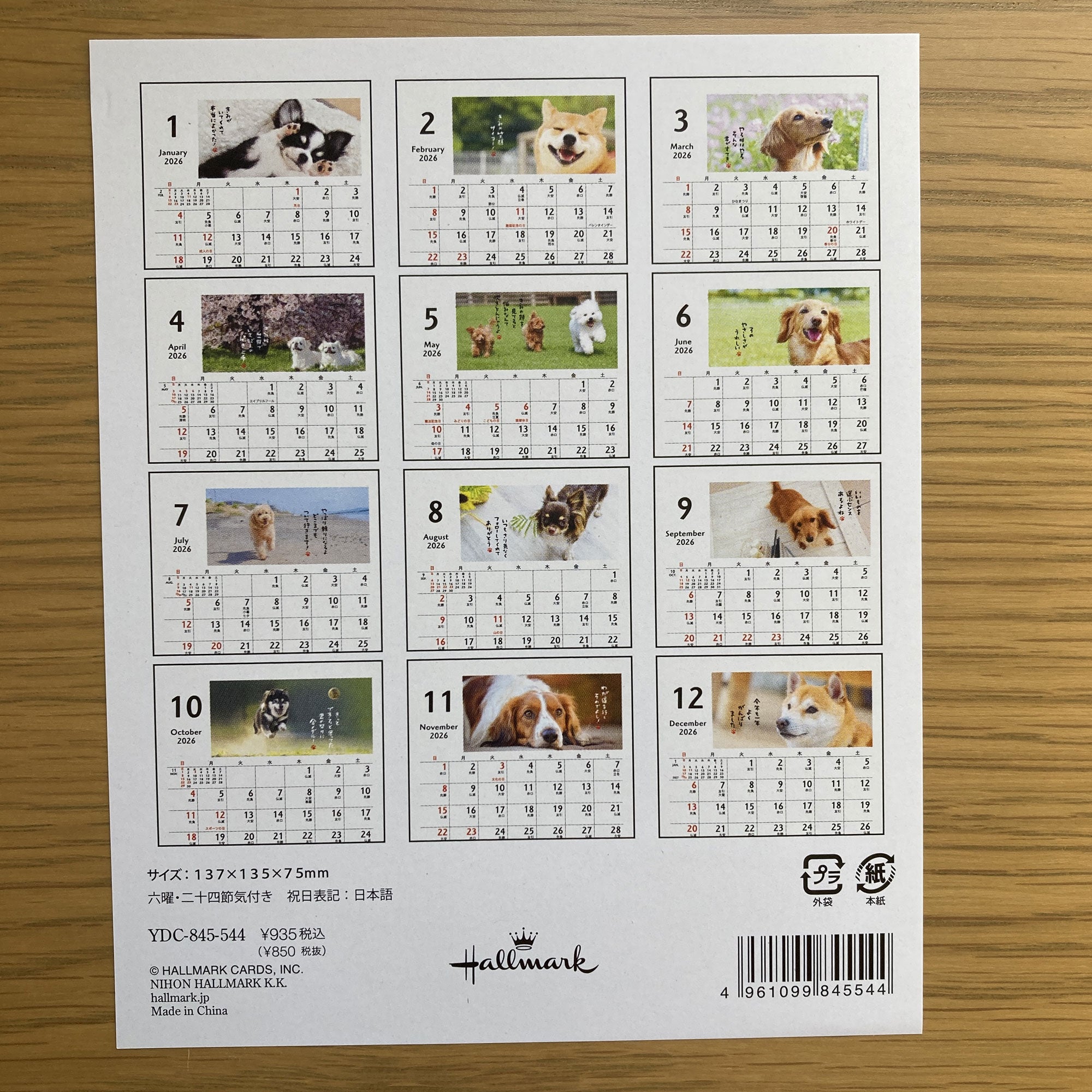 ほめわんこ【卓上カレンダー 2026】日本ホールマークの2026年
