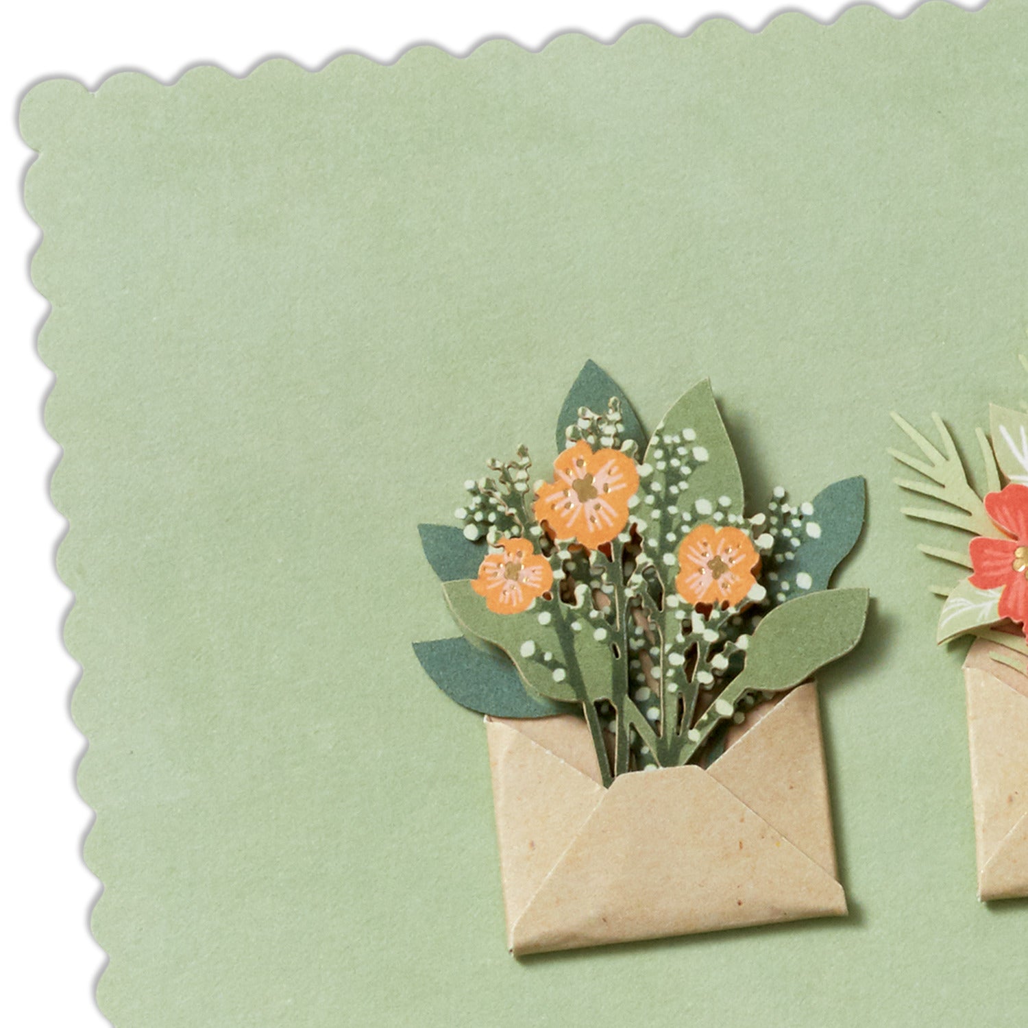 Signature 封筒からお花 Botanical Envelopes Birthday Card – 日本