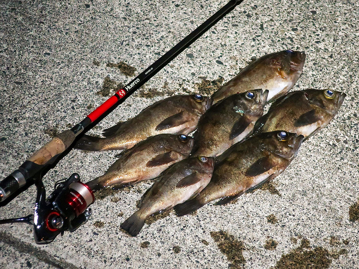 Huerco（フエルコ） MGH900-6S - HAPPY ANGLER 公式サイト