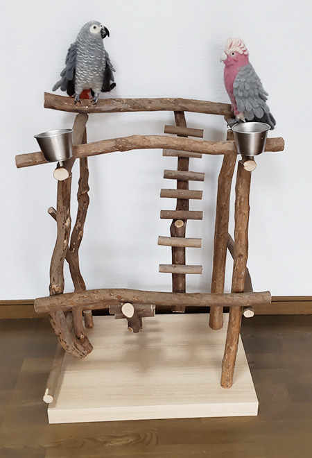 自然の木で遊ばせたい！バードジムno505 ヨウム、インコに／ハッピーケース