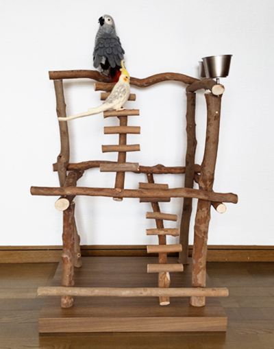 インコの止まり木 バードジムno501