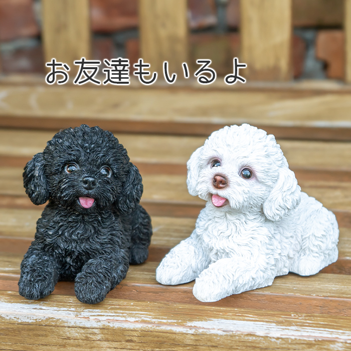 伏せして見上げるわんこ《 トイプードル 黒 11cm》 – ガーデン用